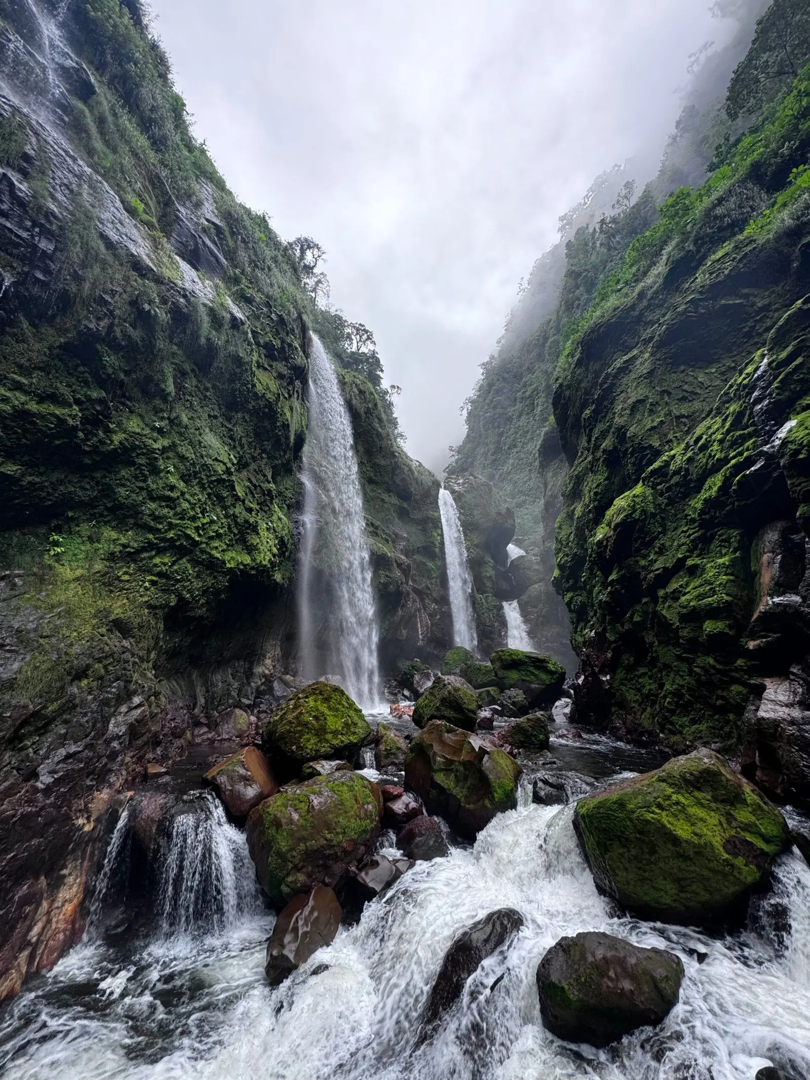 Quebrada Gata and Jurassic Canyon guided waterfall hike in Bajos del Toro, Costa Rica